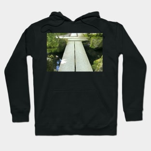 No Authentic Path is Straight and Narrow Hoodie